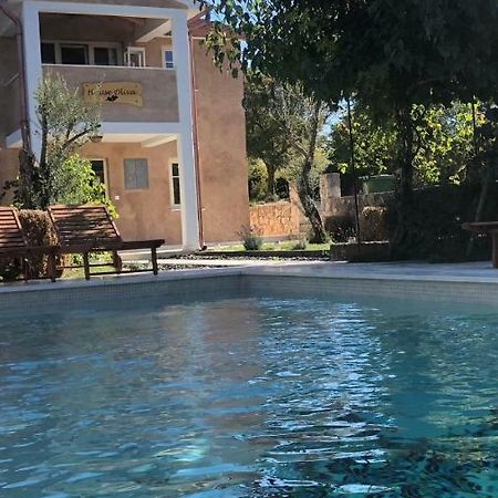 Wellness House Oliva With Heated Salt Water Pool, Sauna & Jakuzzi ラビン エクステリア 写真