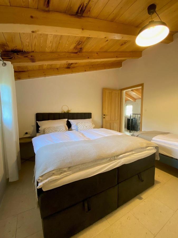Wellness House Oliva With Heated Salt Water Pool, Sauna & Jakuzzi ラビン エクステリア 写真