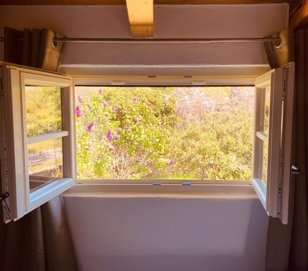 Wellness House Oliva With Heated Salt Water Pool, Sauna & Jakuzzi ラビン エクステリア 写真